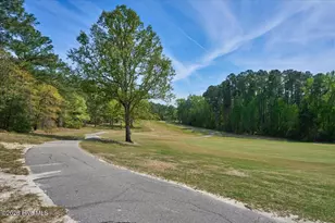 451 Thimbleberry Dr, Vass, NC 28394 - Photo 75