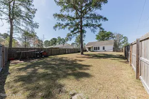 101 Boysenberry Fields Rd, Maple Hill, NC 28454 - Photo 39