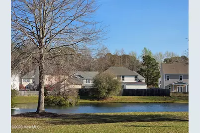 424 Bald Cypress Lane, Sneads Ferry, NC 28460 - Photo 43