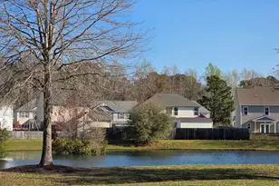 424 Bald Cypress Ln, Sneads Ferry, NC 28460 - Photo 43
