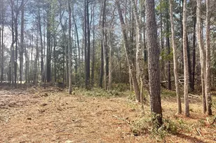 569 Third St SE, Bolivia, NC 28422 - Photo 1