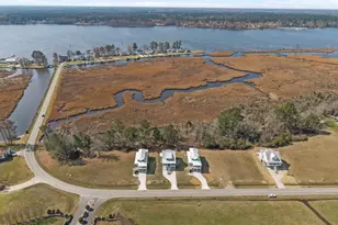 3204 Whichards Beach Rd, Chocowinity, NC 27817 - Photo 37