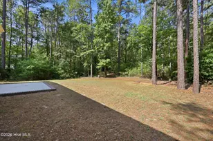 768 Riverbirch Dr, Vass, NC 28394 - Photo 53