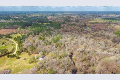 259 Heathers Folly Road, Willard, NC 28478 - Photo 83