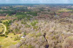 259 Heathers Folly Rd, Willard, NC 28478 - Photo 83