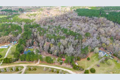 259 Heathers Folly Road, Willard, NC 28478 - Photo 51