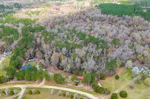 259 Heathers Folly Rd, Willard, NC 28478 - Photo 51