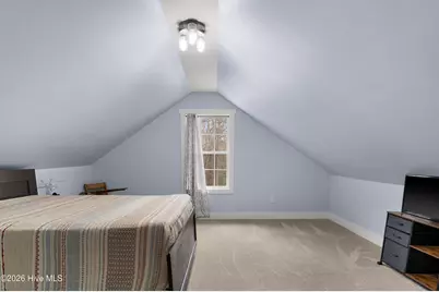 259 Heathers Folly Road, Willard, NC 28478 - Photo 45