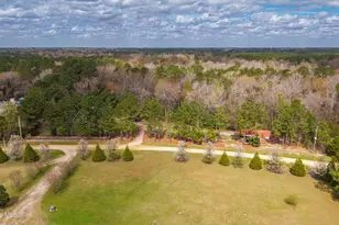 259 Heathers Folly Rd, Willard, NC 28478 - Photo 59