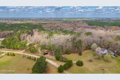 259 Heathers Folly Road, Willard, NC 28478 - Photo 53