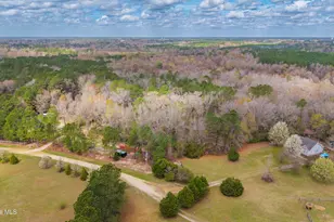 259 Heathers Folly Rd, Willard, NC 28478 - Photo 53