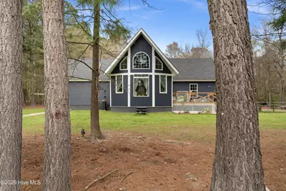 259 Heathers Folly Road, Willard, NC 28478 - Photo 1