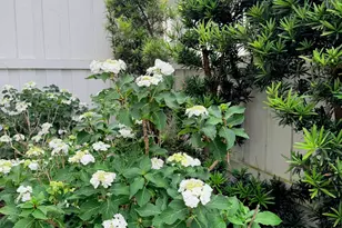 278 Trisail Ter, Wilmington, NC 28412 - Photo 71