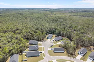 1764 Capra Ct, Bolivia, NC 28422 - Photo 47