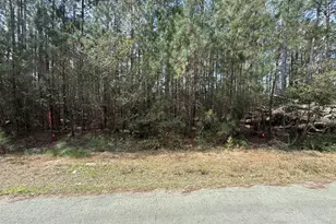 [Address not provided], Oriental, NC 28571 - Photo 1