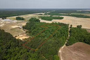 0 Mintz Rd, Roseboro, NC 28382 - Photo 1