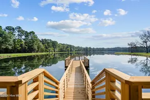 360 Fontanel Lake Dr, Burgaw, NC 28425 - Photo 19