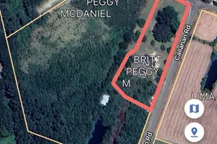 60 Callahan Rd, Orrum, NC 28369 - Photo 5
