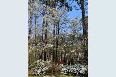 957 Sandavis Road, Southern Pines, NC 28387 - Photo 41
