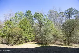 85 Winged Foot Rd, Pinehurst, NC 28374 - Photo 39