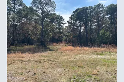 1609 Caracara Drive, New Bern, NC 28560 - Photo 5