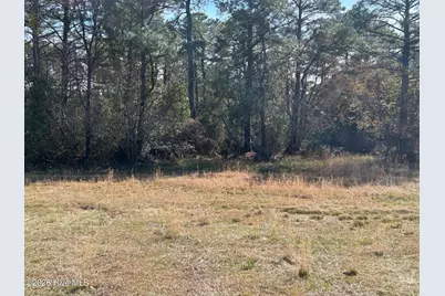 1609 Caracara Drive, New Bern, NC 28560 - Photo 3