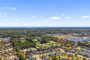 502 Steele Loop, Wilmington, NC 28411 - Photo 51