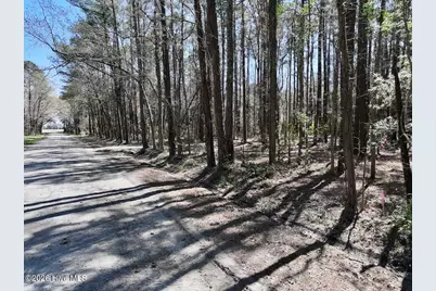 0 Lot 1 Creek Place Road, Arapahoe, NC 28510 - Photo 21