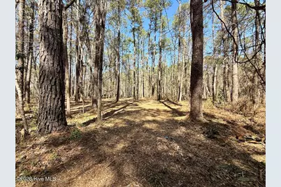 0 Lot 1 Creek Place Road, Arapahoe, NC 28510 - Photo 15