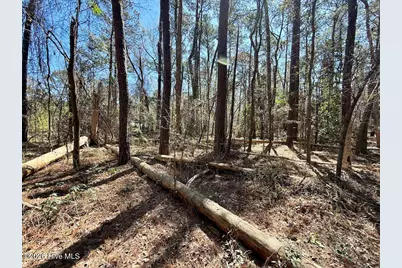 0 Lot 1 Creek Place Road, Arapahoe, NC 28510 - Photo 17