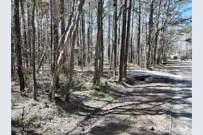0 Lot 1 Creek Place Road, Arapahoe, NC 28510 - Photo 19