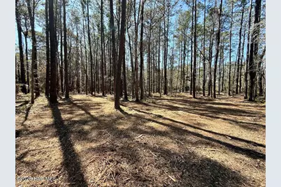 0 Lot 1 Creek Place Road, Arapahoe, NC 28510 - Photo 11
