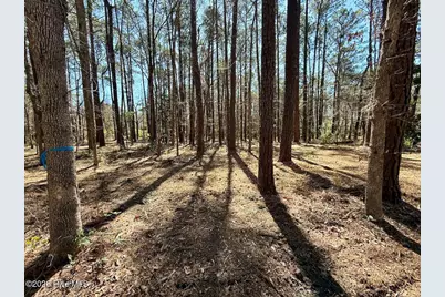 0 Lot 2 Creek Place Road, Arapahoe, NC 28510 - Photo 13
