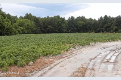 Tbd Conetoe Road, Greenville, NC 27834 - Photo 1