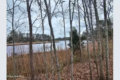 251 Alligator Loop Road, Merritt, NC 28556 - Photo 3