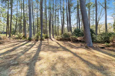51 Wimberly Avenue, Rocky Mount, NC 27804 - Photo 17