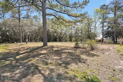 809 Monroe Avenue, Carolina Beach, NC 28428 - Photo 3
