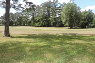 209 Shoreline Dr, New Bern, NC 28562 - Photo 17