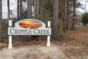 140 Cripple Crk Dr, Swansboro, NC 28584 - Photo 19