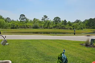 254 E Red Head Cir, Sneads Ferry, NC 28460 - Photo 19