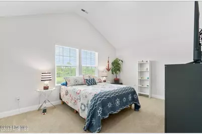 254 E Red Head Circle, Sneads Ferry, NC 28460 - Photo 17
