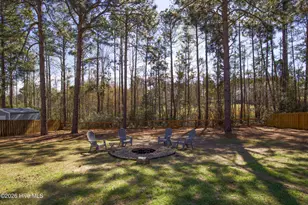 315 Pickett Cir, Vass, NC 28394 - Photo 49