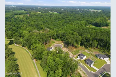 925 Rialto Lane, Ayden, NC 28513 - Photo 49