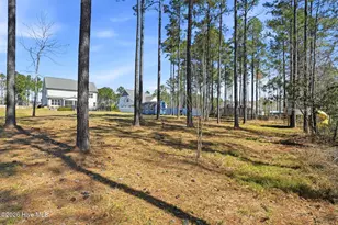 96 Secretariat, Rocky Point, NC 28457 - Photo 111