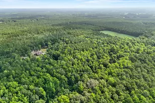 450 Berry Ln SW, Supply, NC 28462 - Photo 99
