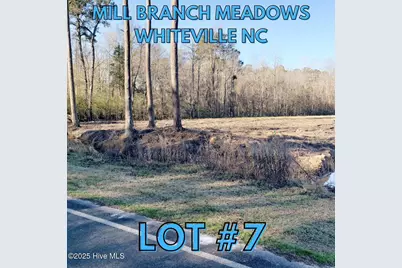 1834 Harrelsonville Road, Whiteville, NC 28472 - Photo 1