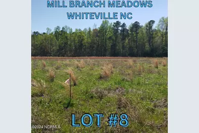 97 Mill Branch Drive, Whiteville, NC 28472 - Photo 1