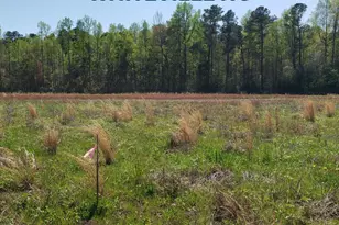 97 Ml Br Dr, Whiteville, NC 28472 - Photo 1