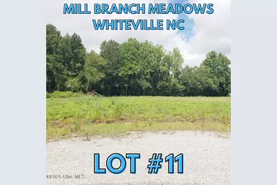 112 Mill Branch Drive, Whiteville, NC 28472 - Photo 1