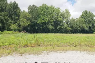 112 Ml Br Dr, Whiteville, NC 28472 - Photo 1